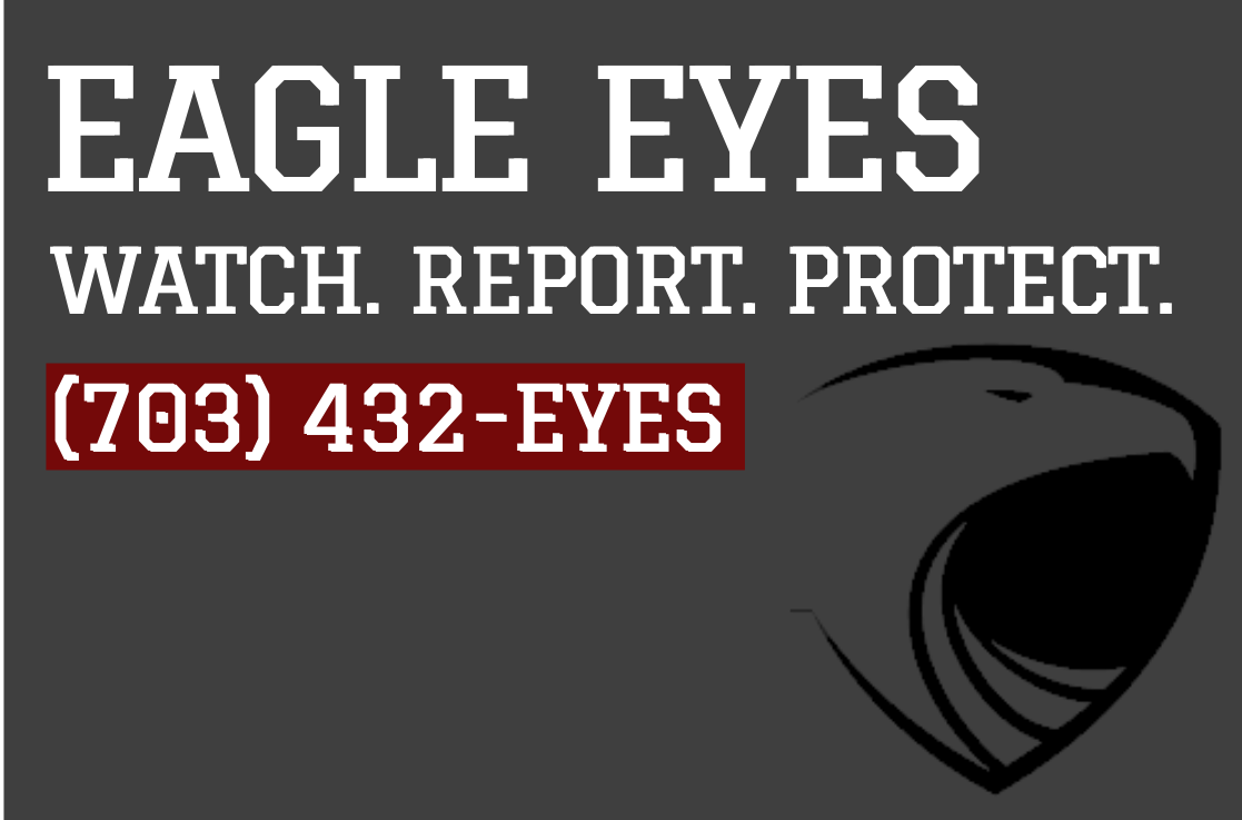 EagleEyes.png